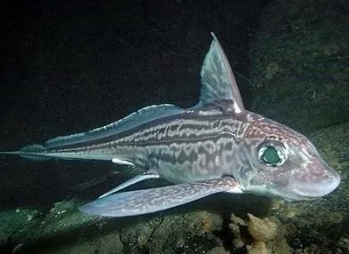 392x286 G1a2s1jduk36fbxn0v6q