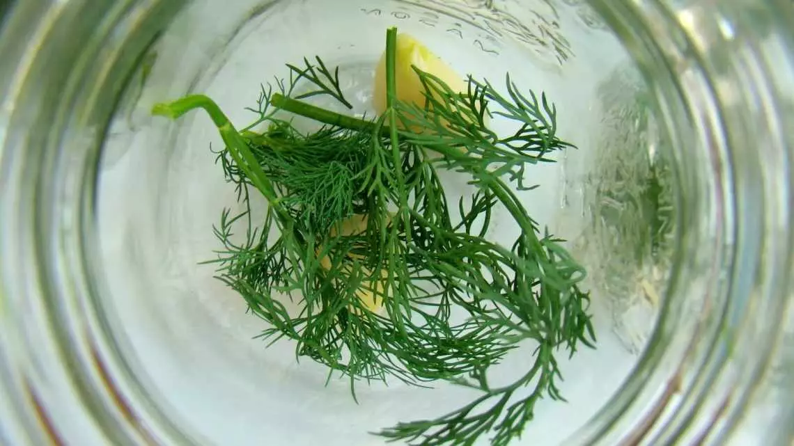 01 05 29 24 01 Large