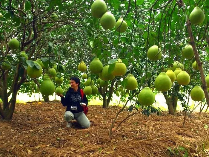 F7a39e556fd8b62ba7c75b40ade31952