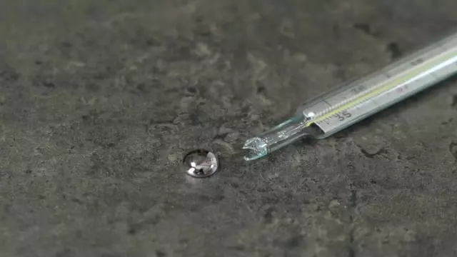 Depositphotos 361627760 Xl 1