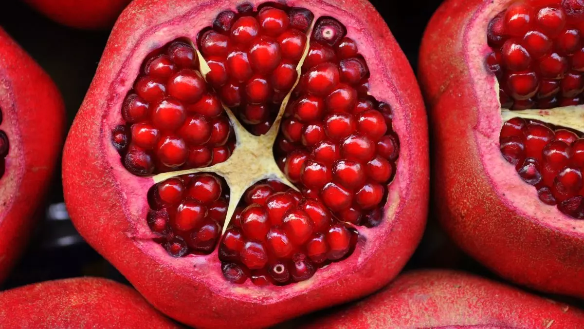 Pomegranate G15f7a253f 1920