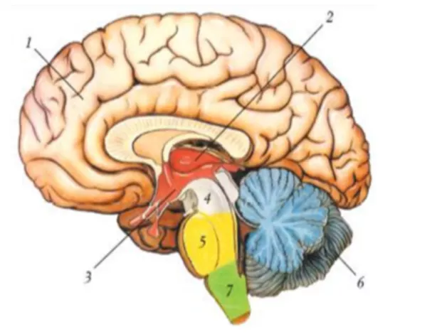 0400p3yw 1c58 614x495 1