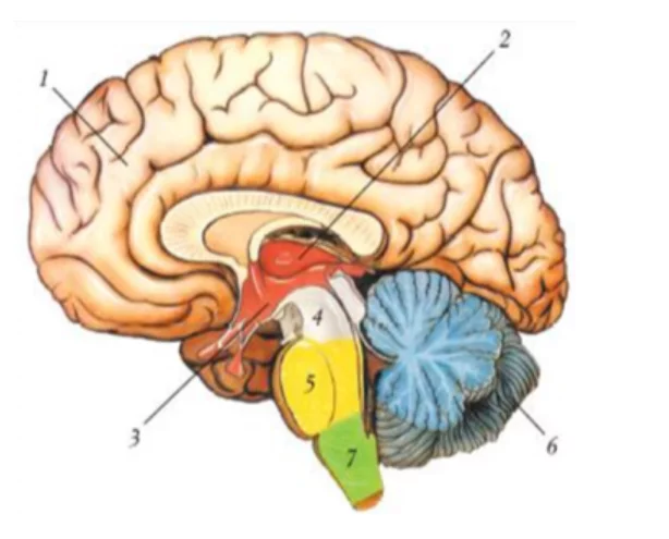 0400p3yw 1c58 614x495 1