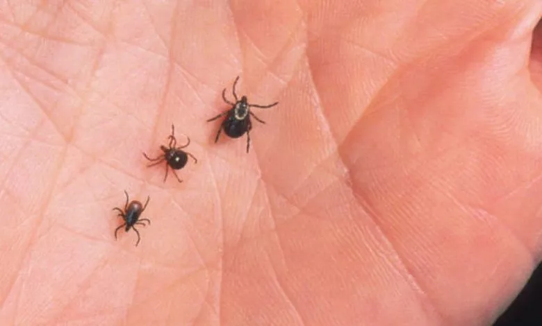 136e7428081798394bd15efdbfbdeb08