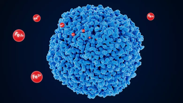 8qo L7pgzhrisb9erdrlelqoagodovtp