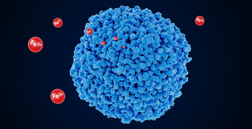 8qo L7pgzhrisb9erdrlelqoagodovtp