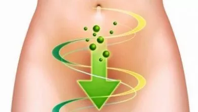 A4ea95aa77275485ac7721ea560e82a5