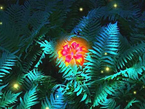 Ne Tlki Kvtka Paporot Prinosit Schastya