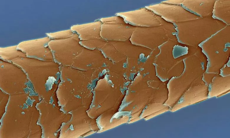 Pro Volossya Stattya