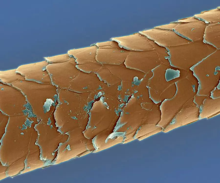 Pro Volossya Stattya